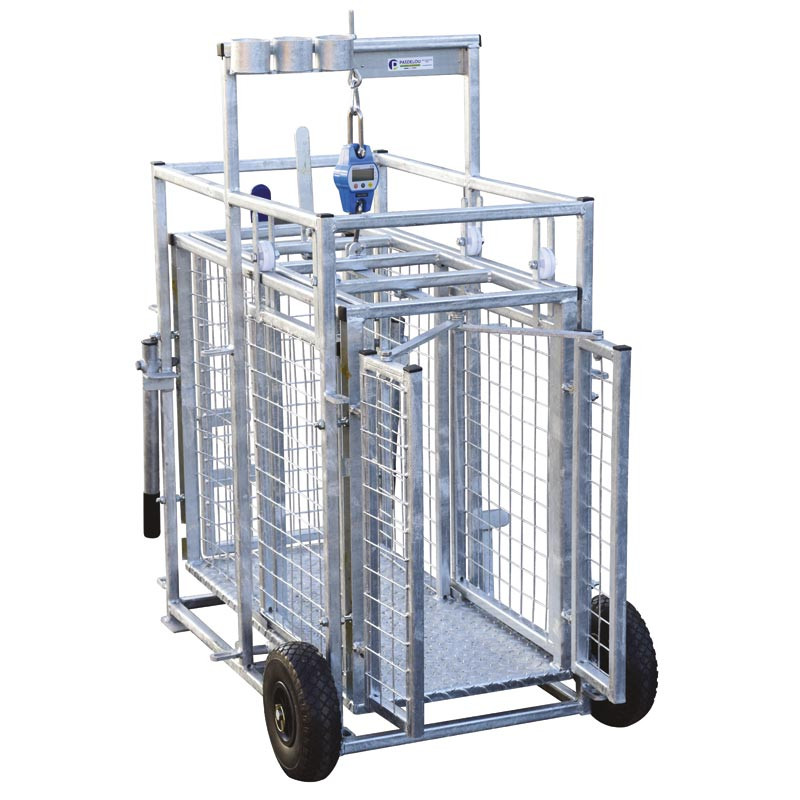 Mobile weighing crush for sheep with weighing dial