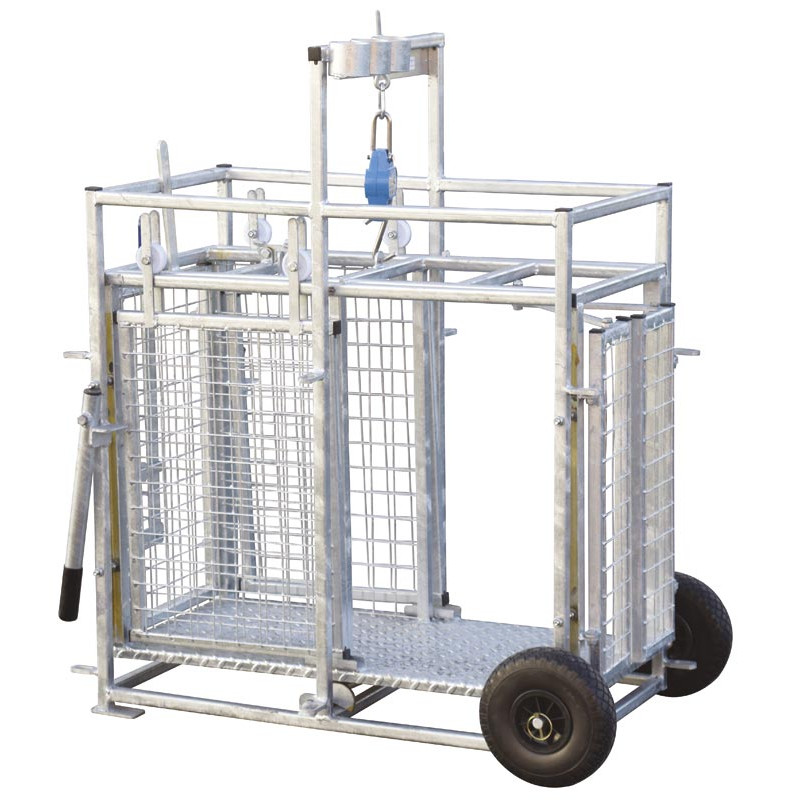 Mobile weighing crush for sheep with weighing dial