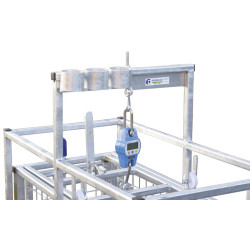 Mobile weighing crush for sheep with weighing dial