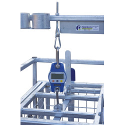 Mobile weighing crush for sheep with weighing dial