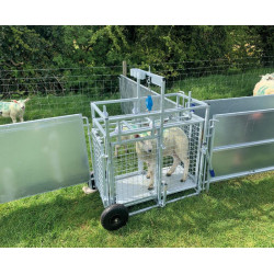 Mobile weighing crush for sheep with weighing dial