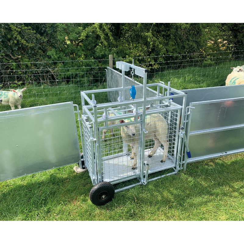 Mobile weighing crush for sheep with weighing dial