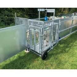 Mobile weighing crush for sheep with weighing dial