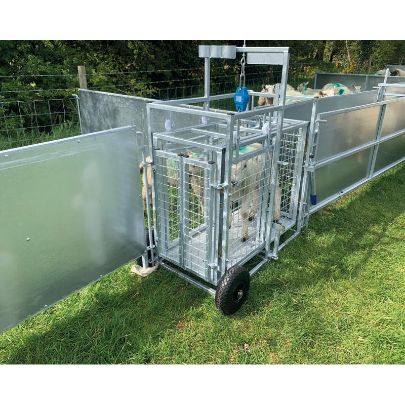 Mobile weighing crush for sheep with weighing dial