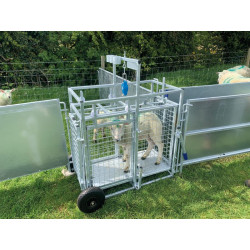 Mobile weighing crush for sheep with weighing dial