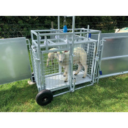 Mobile weighing crush for sheep with weighing dial