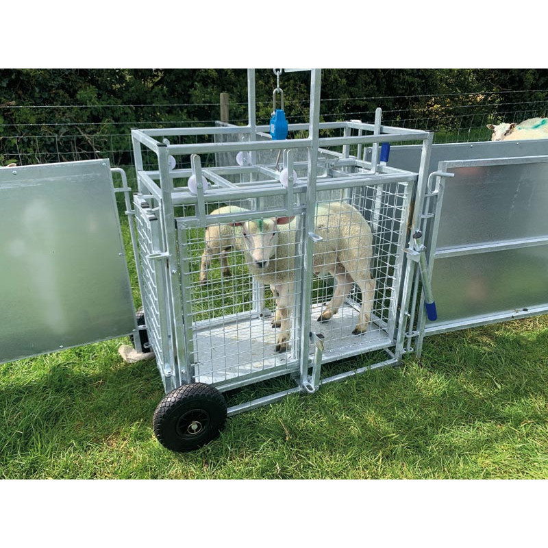 Mobile weighing crush for sheep with weighing dial