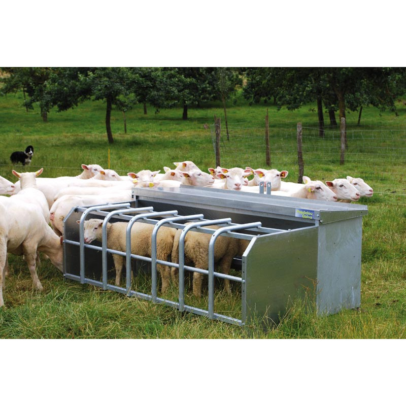265 L selective feeder with single corral for lambs