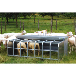 265 L selective feeder with single corral for lambs