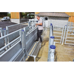 Cattle handling race module with posts to be embedded