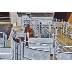 Race entry module with posts to be embedded Race entry module with posts to be embedded