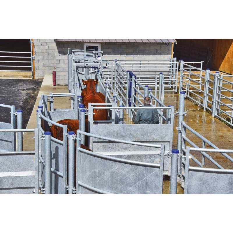 Race entry module with posts to be embedded Race entry module with posts to be embedded