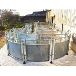 Race entry module with posts to be embedded Race entry module with posts to be embedded