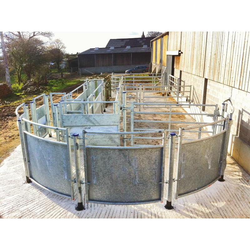 Race entry module with posts to be embedded Race entry module with posts to be embedded