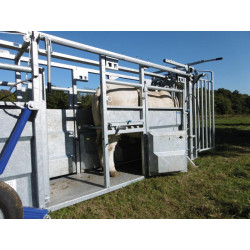 Hydraulic mobile cattle handling race