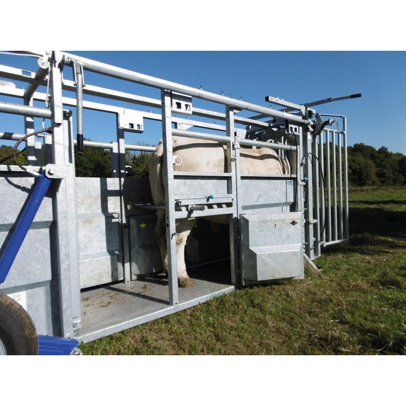 Hydraulic mobile cattle handling race