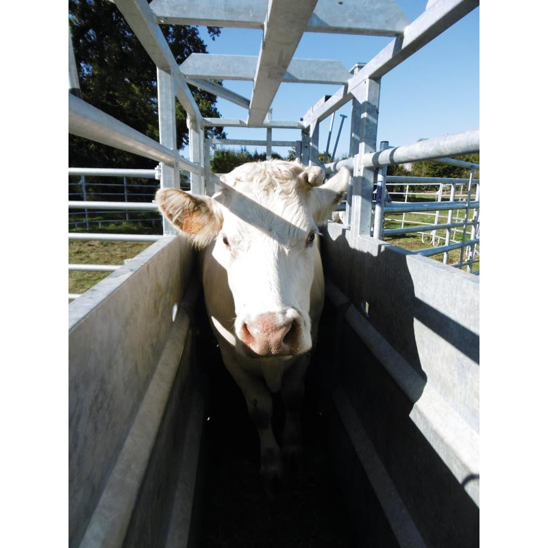 Hydraulic mobile cattle handling race