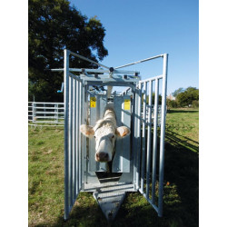 Hydraulic mobile cattle handling race