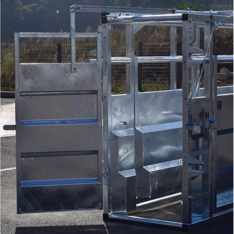 Fixed cattle handling race