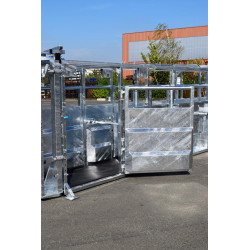 Fixed cattle handling race