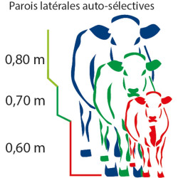 Fixed cattle handling race