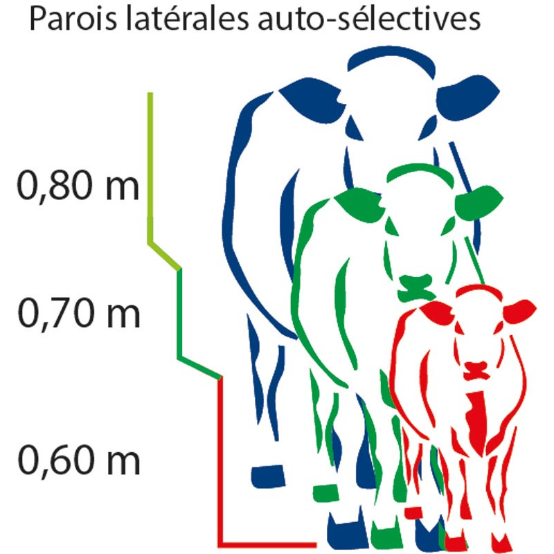 Fixed cattle handling race
