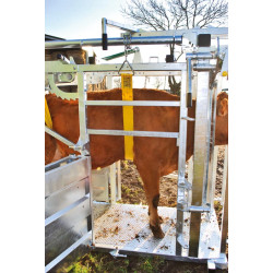 LFM crush - 4 gates - Fixed width sides - Side panels