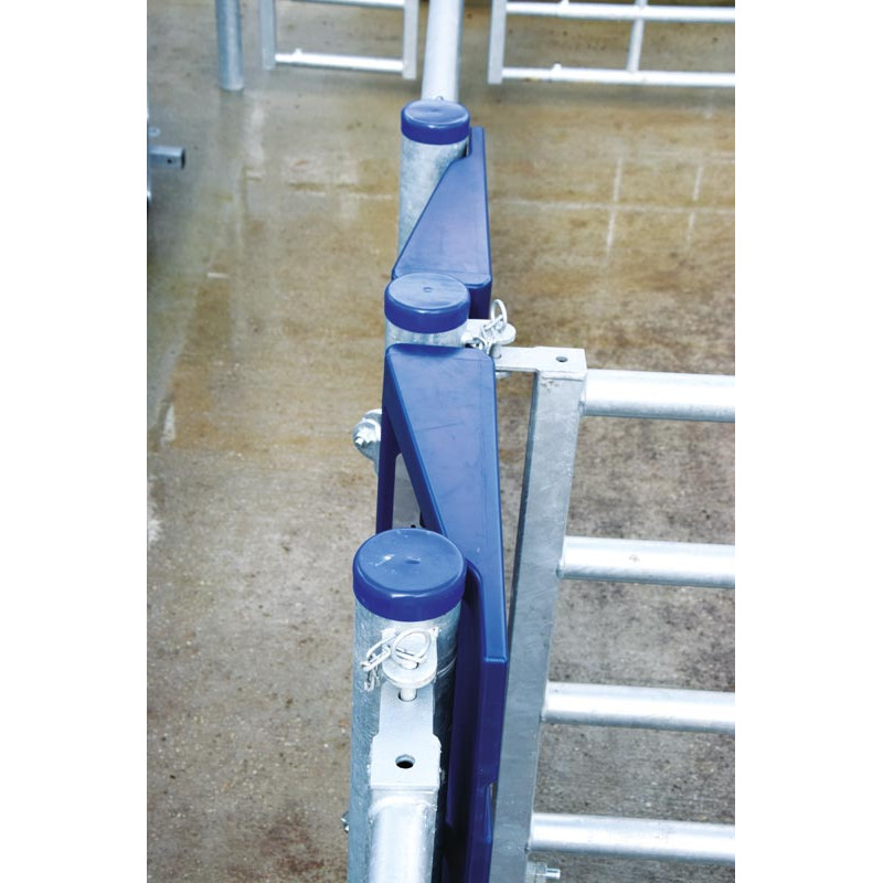 SECURIPASS gate