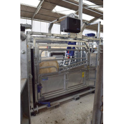 Pneumatic push/anti-backing system Pneumatic push/anti-backing system