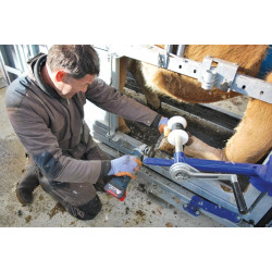 Complete front and rear manual hoof care kit for crush with fixed width sides - 4 gates