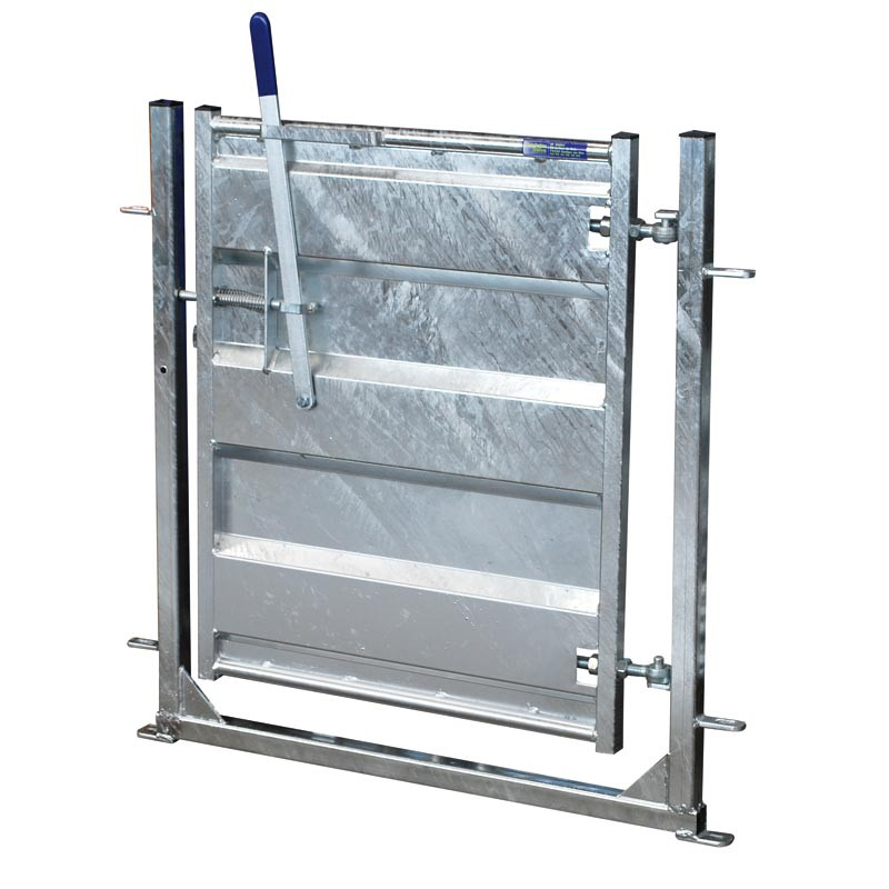 Sheeted service gate for sheep Sheeted service gate for sheep
