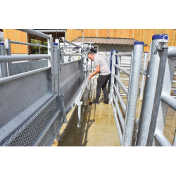 Cattle handling race module with posts to be embedded Cattle handling race module with posts to be embedded