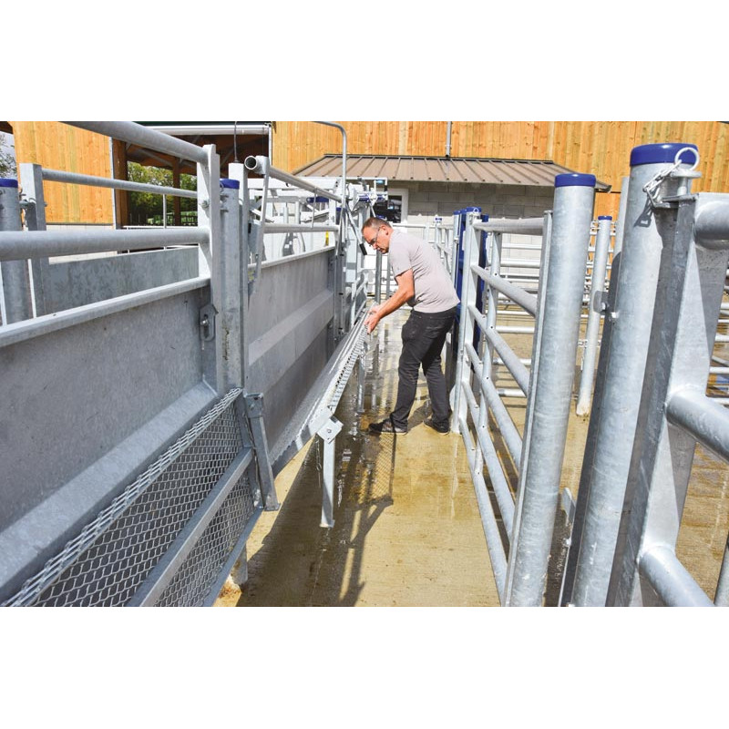 Cattle handling race module with posts to be embedded Cattle handling race module with posts to be embedded