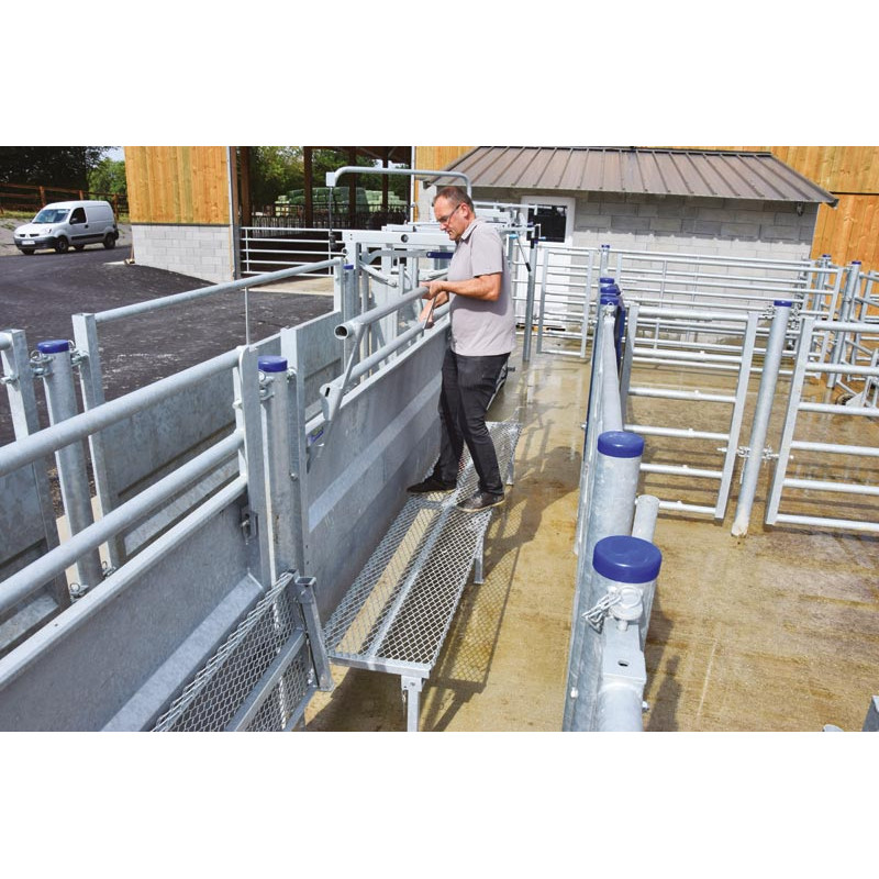 Cattle handling race module with posts to be embedded Cattle handling race module with posts to be embedded