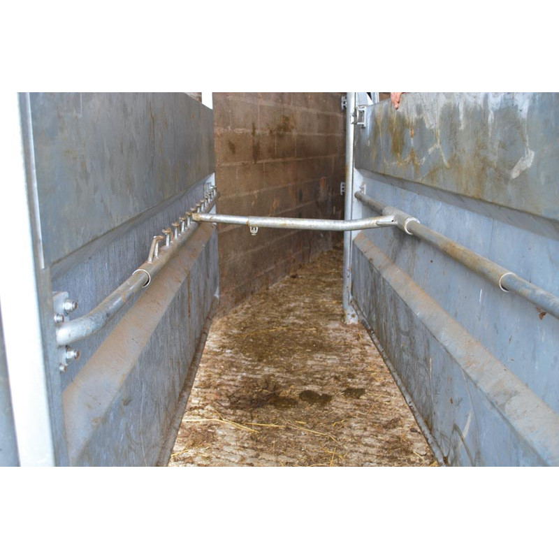 Cattle handling race module with posts to be embedded Cattle handling race module with posts to be embedded